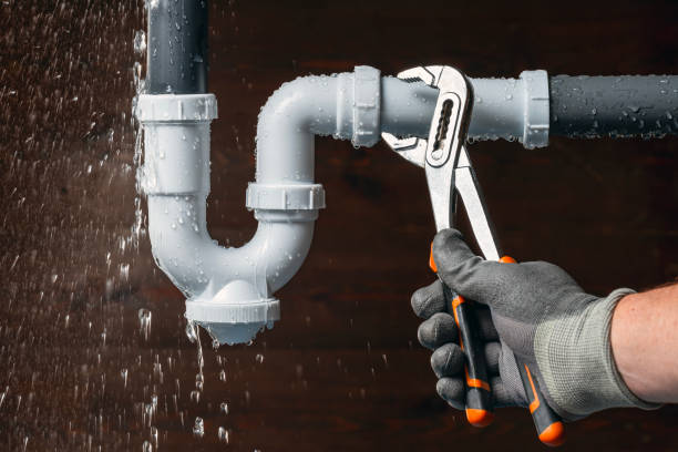 Professional Emergency Plumber technician working in Dendron, VA